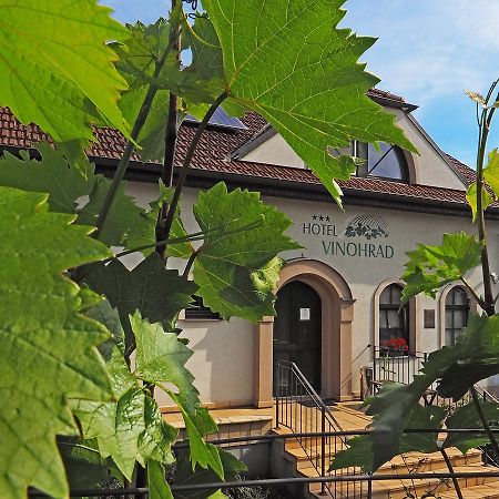 Hotel Vinohrad Milotice Екстер'єр фото