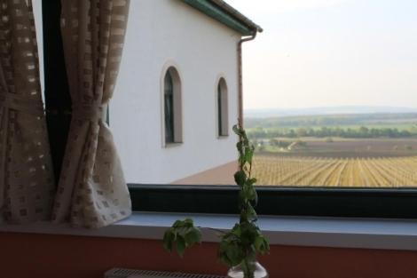 Hotel Vinohrad Milotice Екстер'єр фото