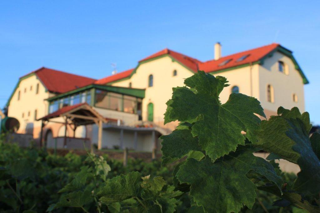 Hotel Vinohrad Milotice Екстер'єр фото