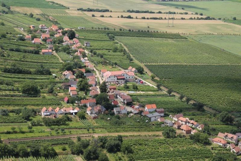 Hotel Vinohrad Milotice Екстер'єр фото