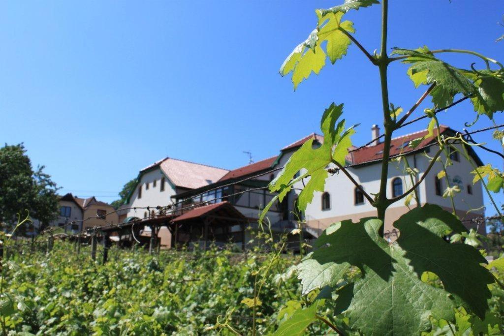 Hotel Vinohrad Milotice Екстер'єр фото