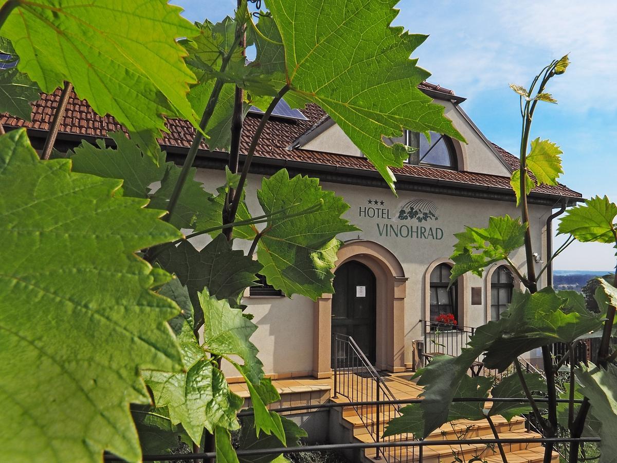Hotel Vinohrad Milotice Екстер'єр фото